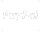 PayPal logo showing accepted online payment method on Eddine Belaid website footer