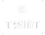 TWINT logo representing Swiss mobile payment option on Eddine Belaid website footer