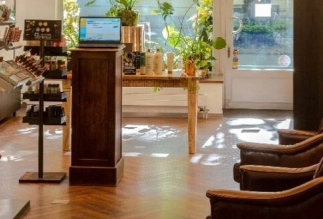 Interior of Eddine Belaid salon featuring natural light, wooden décor, and relaxing atmosphere for premium hair services in Switzerland