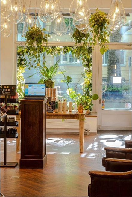 Interior of Eddine Belaid – Aveda Exclusive Salon with natural light, plants, and elegant design for premium haircare and relaxation in Switzerland